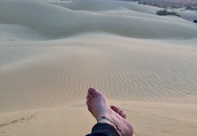 Photo of Where The Caravan Camels Roam by Saloni Agarwal