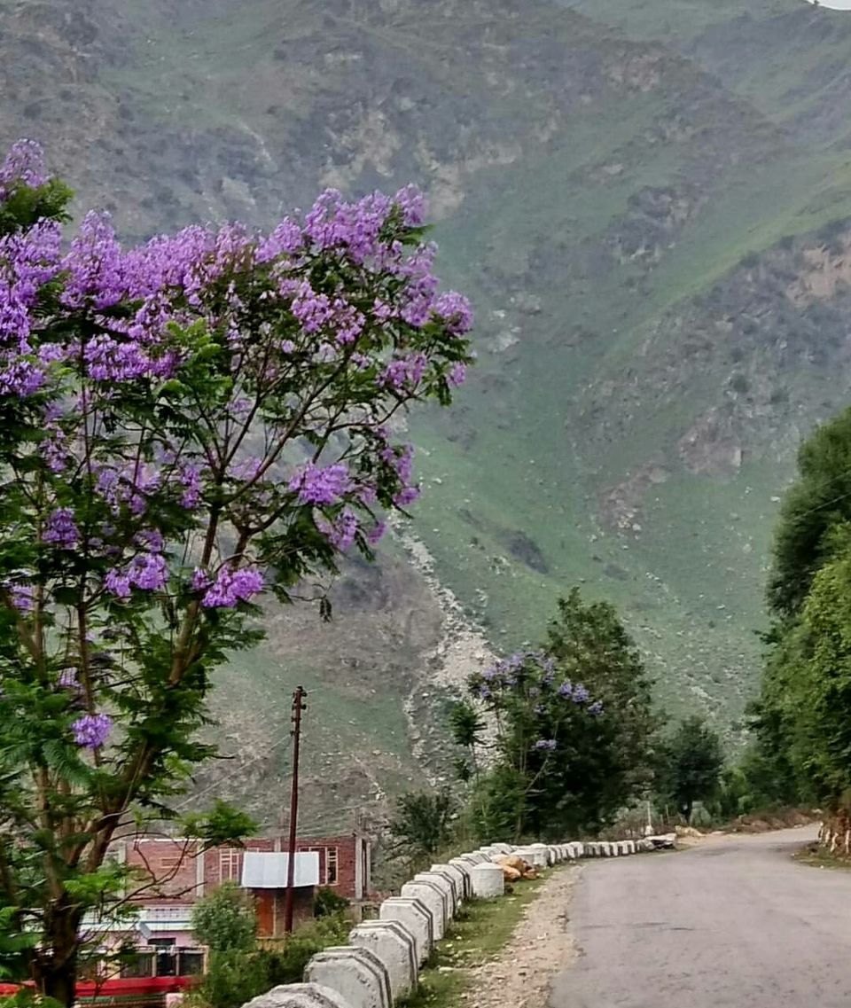 Photo of Kasol, Himachal Pradesh, India by Vaibhav Pratap