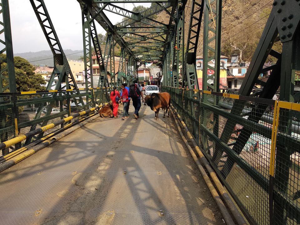 Photo of Reaching Munsiyari by Aftab