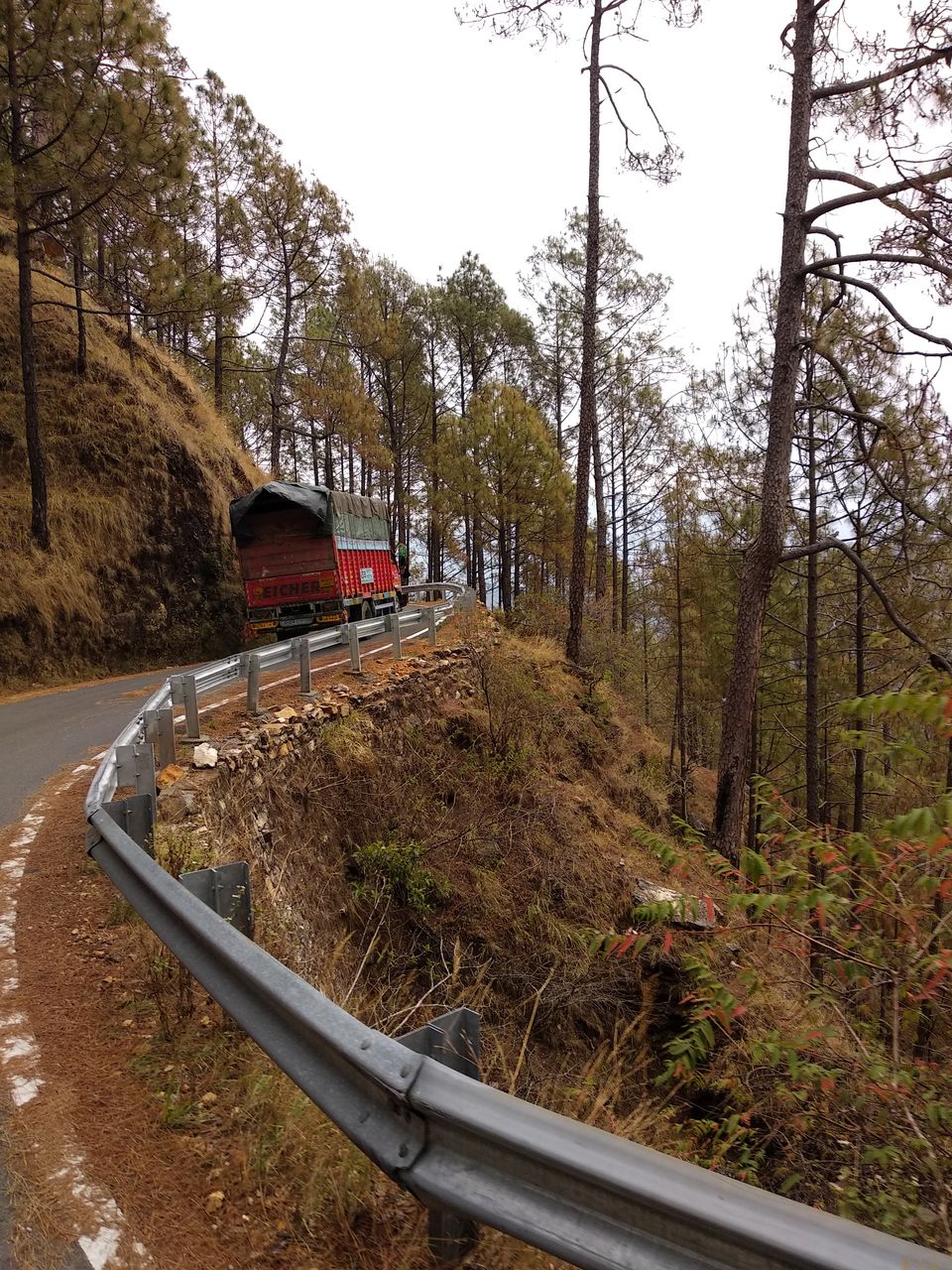Photo of Reaching Munsiyari by Aftab