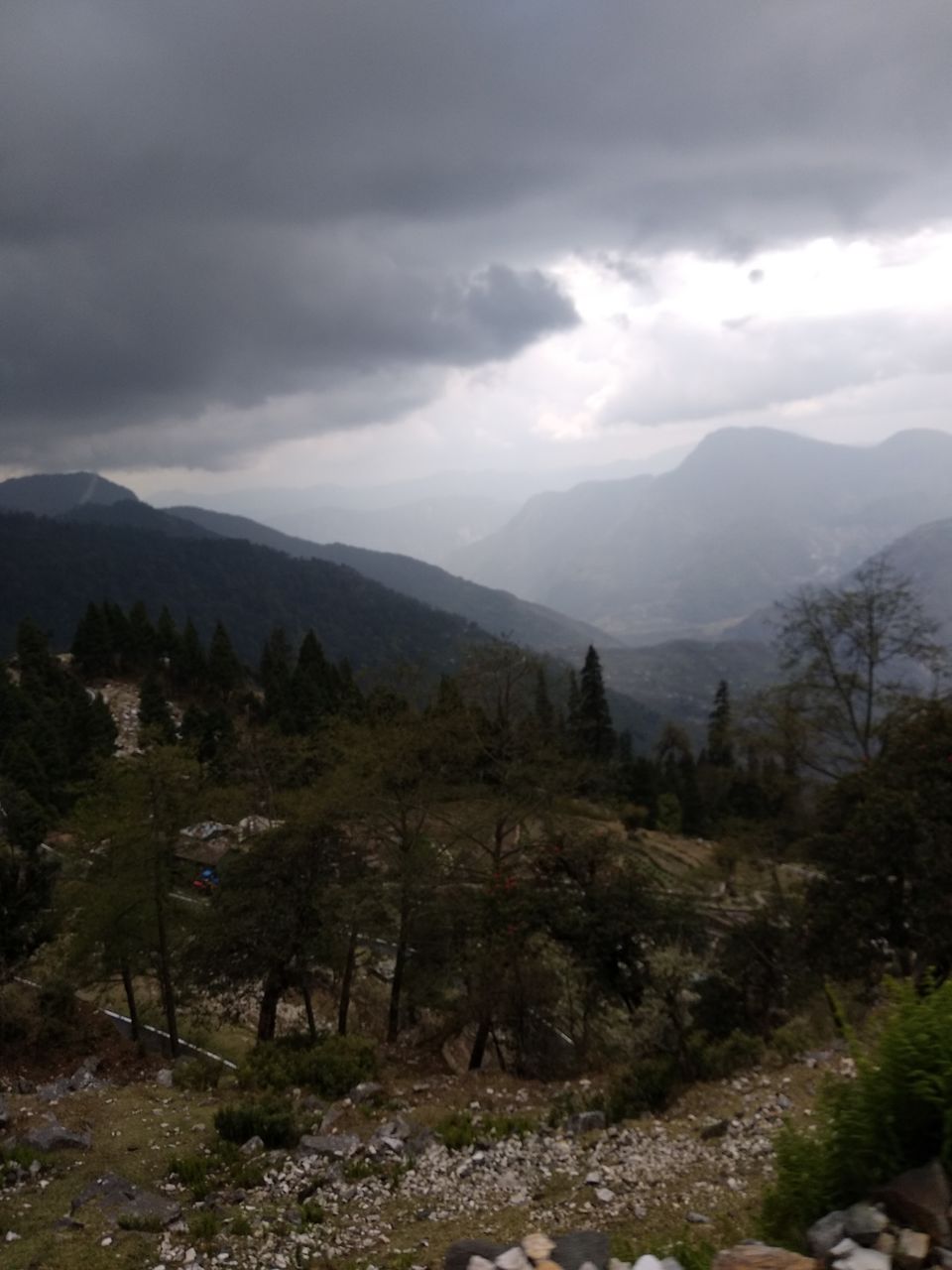 Photo of Reaching Munsiyari by Aftab