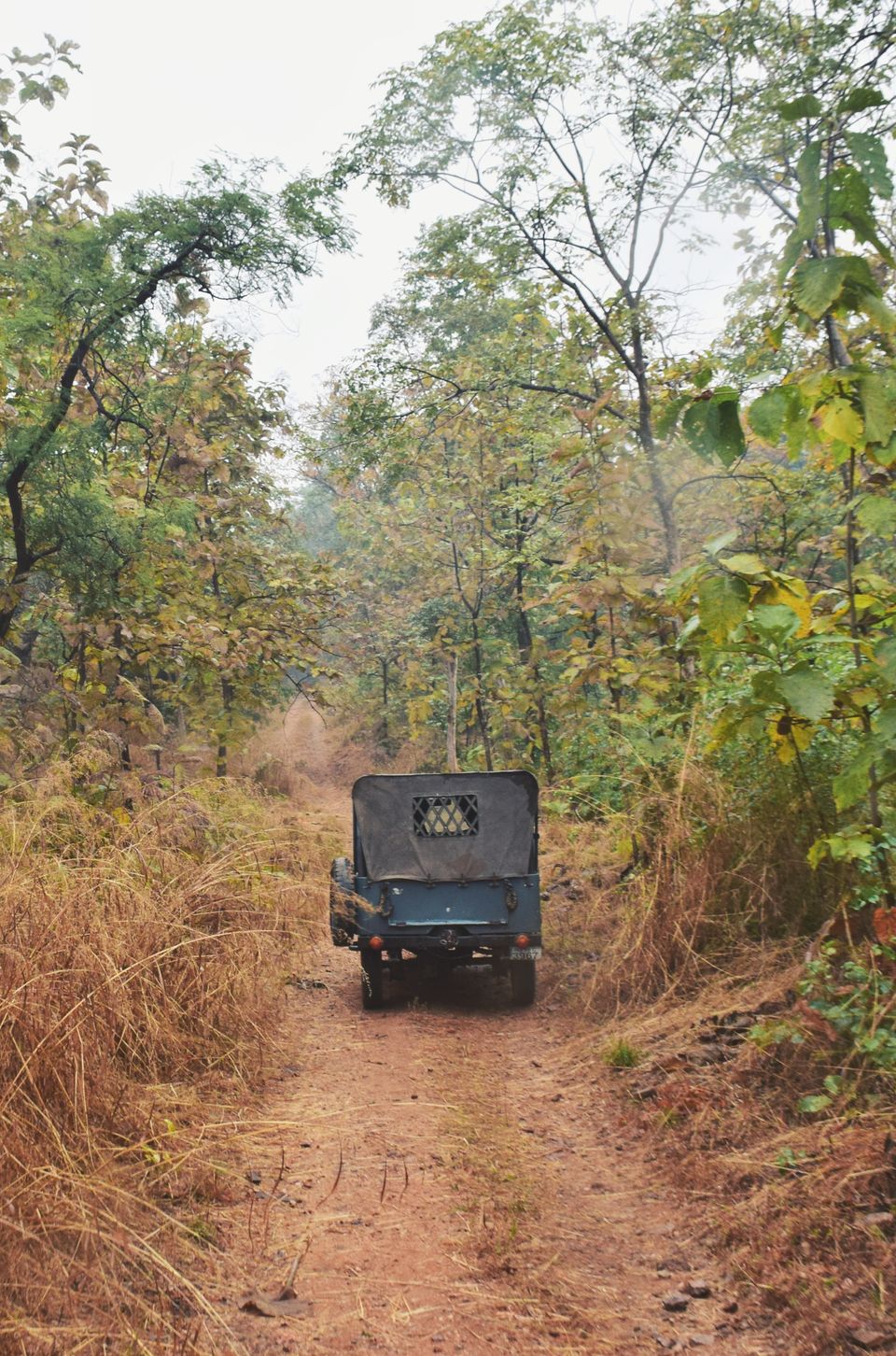 Photo of Offbeat Rajasthan #rajasthaninphotos 4/8 by Aftab