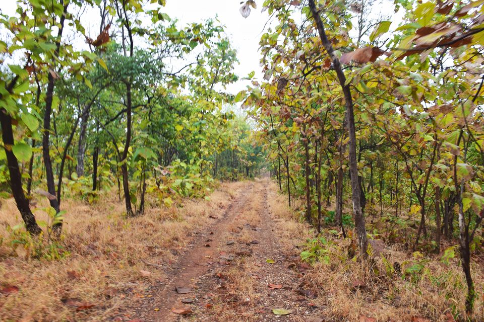 Photo of Offbeat Rajasthan #rajasthaninphotos 5/8 by Aftab
