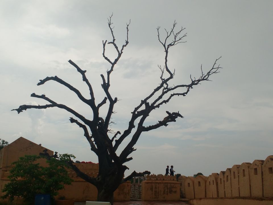 Photo of A budget traveler in the Land of Royals by Snehanshu Shome