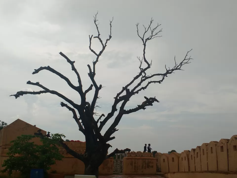 Photo of A budget traveler in the Land of Royals by Snehanshu Shome