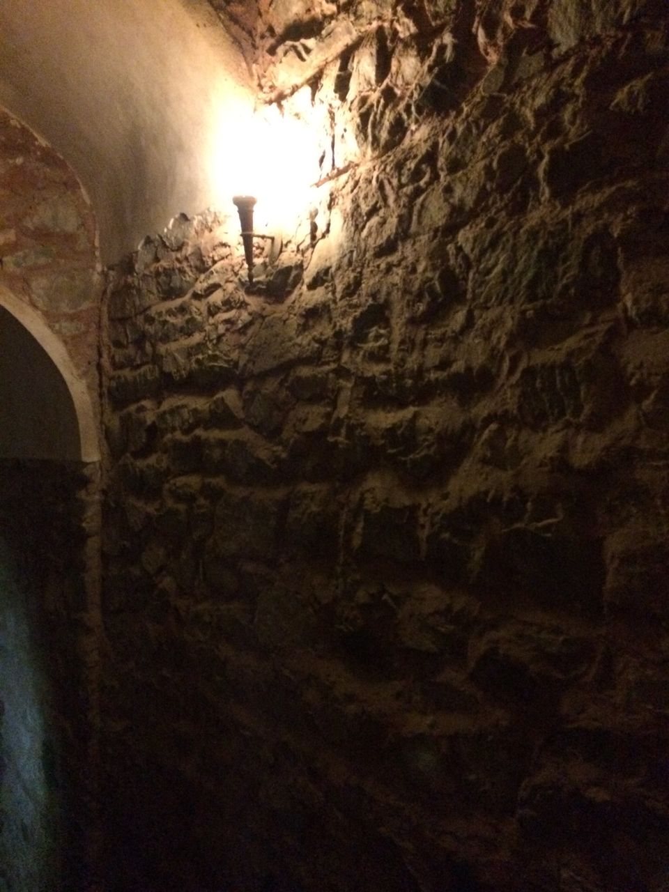 Photo of The Treasure Tunnels of Amber by Nishtha Walia