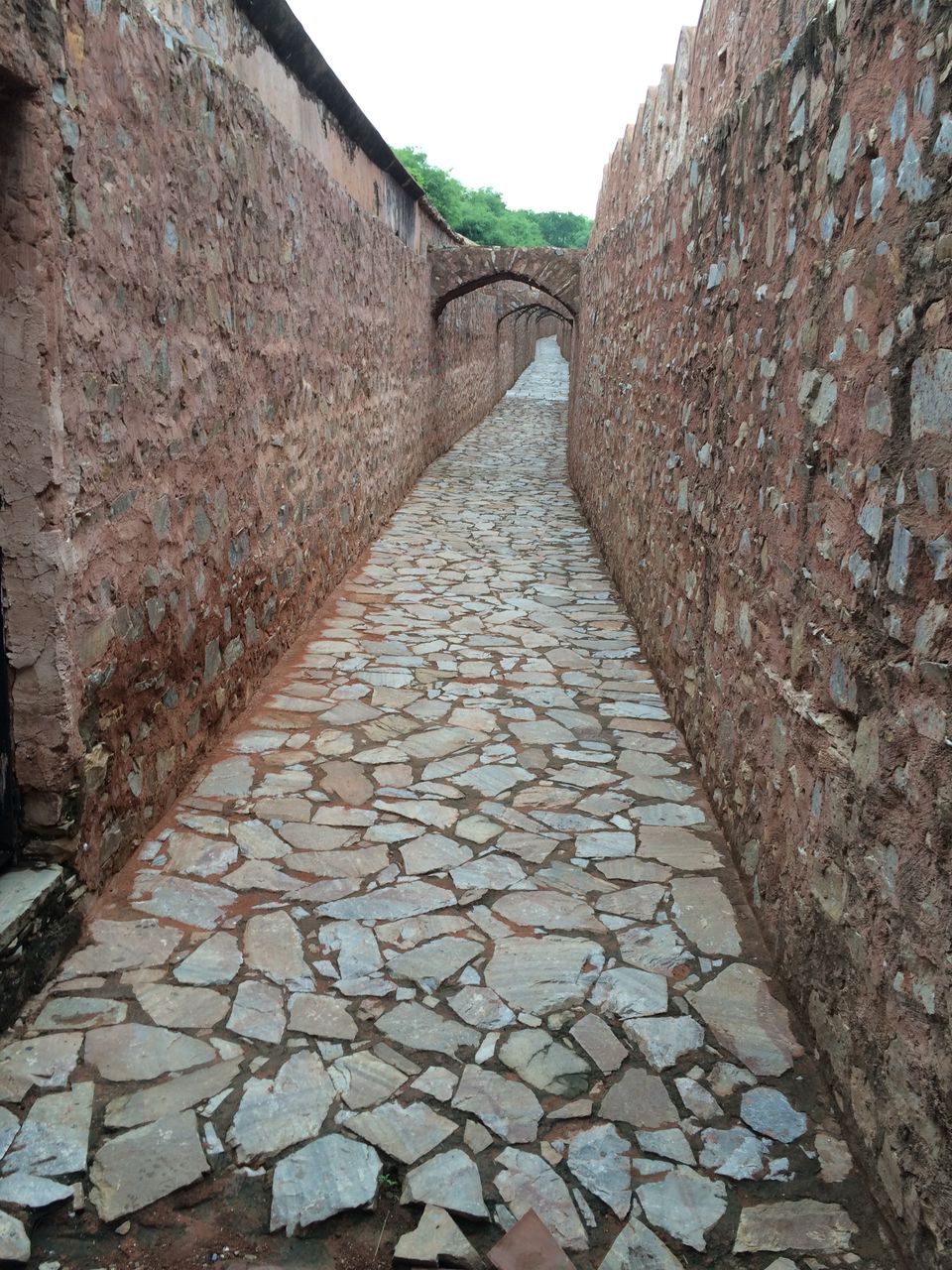 Photo of The Treasure Tunnels of Amber by Nishtha Walia