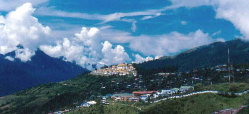 Photo of Ziro by Nishtha Walia