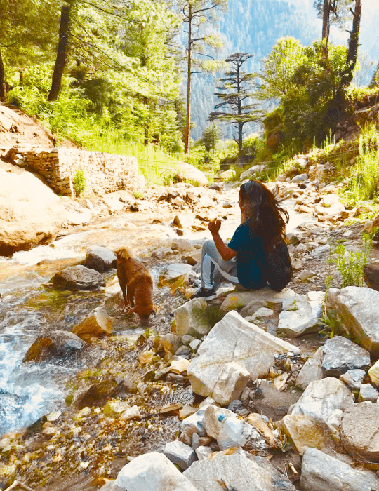 Photo of I Took A Solo Trip to Kasol And I Felt Safe - TheTripR 3/4 by Nishtha Walia