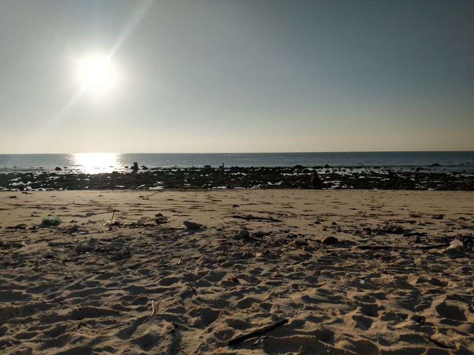 Photo of The Wanderer's Paradise: NEIL by Sonali Saraswat