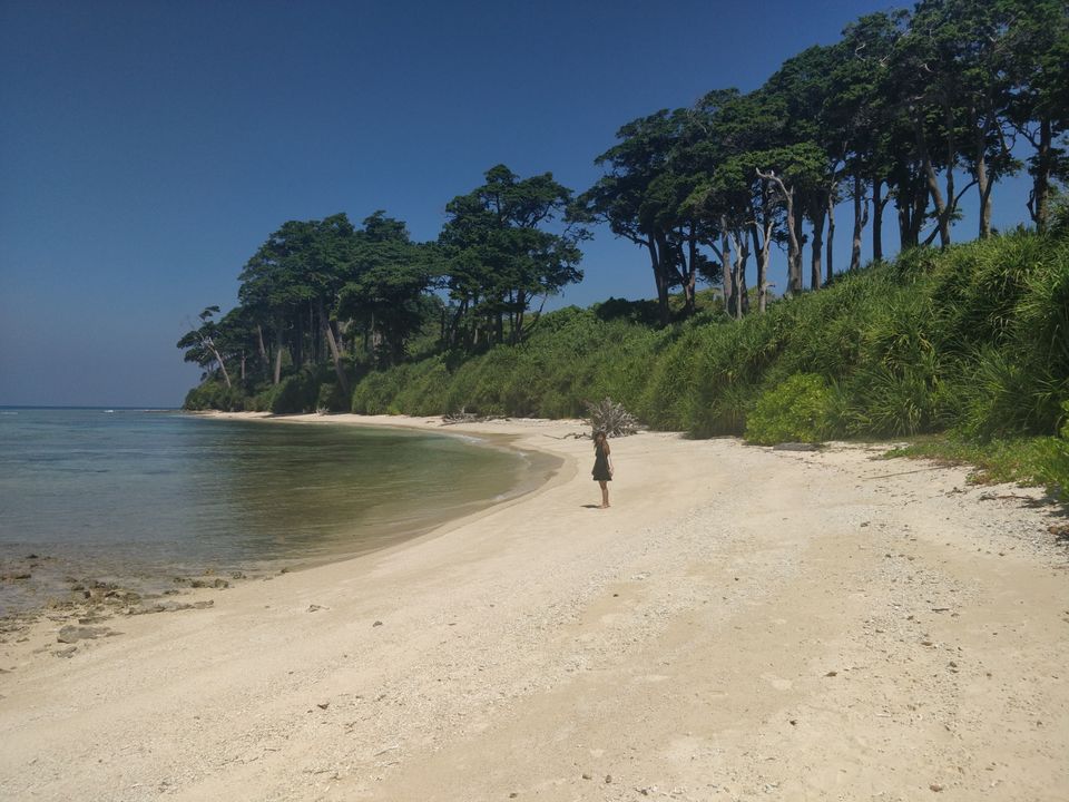 Photo of The Wanderer's Paradise: NEIL by Sonali Saraswat