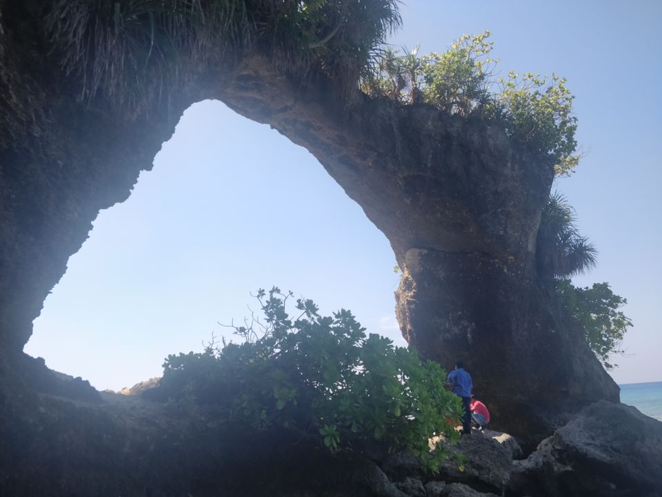 Photo of The Wanderer's Paradise: NEIL by Sonali Saraswat