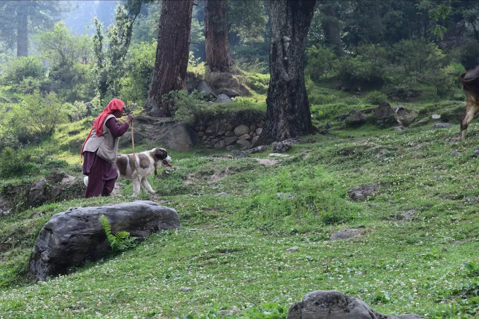 Photo of Parvati valley by Yuvraj Ramawat