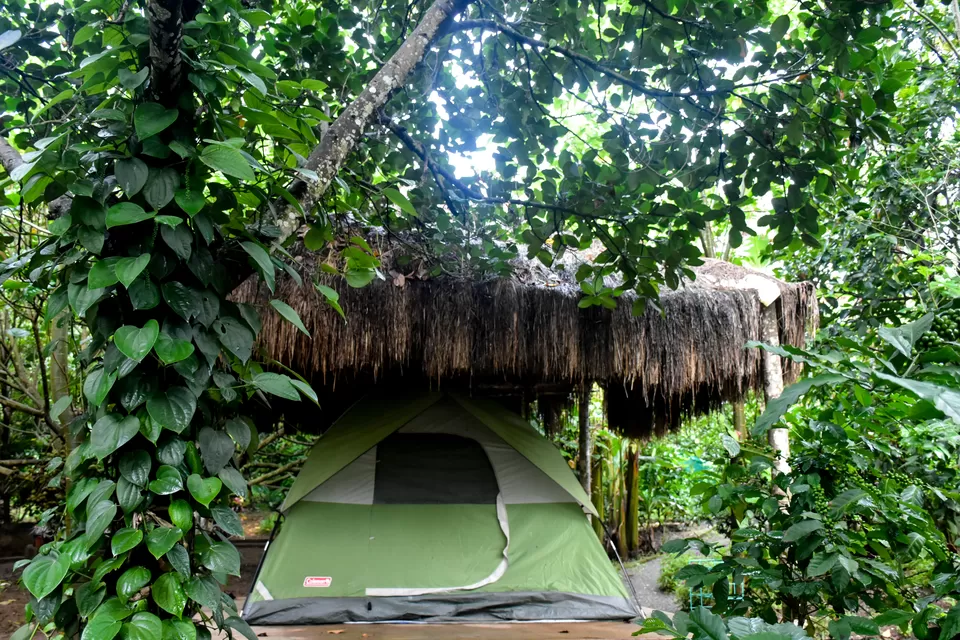 Photo of Coorg, Karnataka, India by Trip Jodi