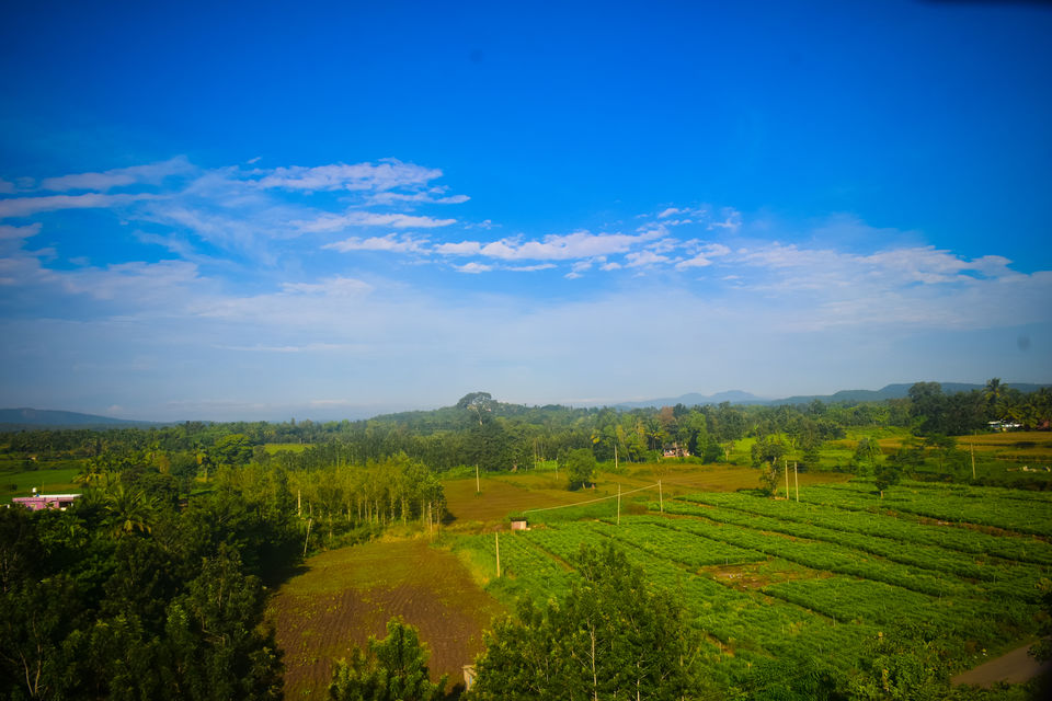 Photo of Nature is not a place to visit. It is home. — The Foot Hill Camp, Coorg by Trip Jodi