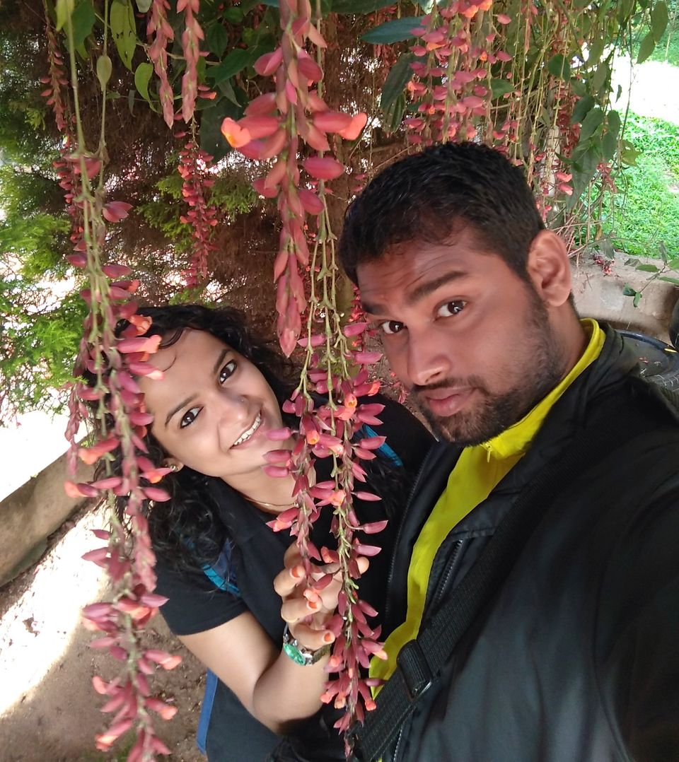 Photo of Nature is not a place to visit. It is home. — The Foot Hill Camp, Coorg by Trip Jodi