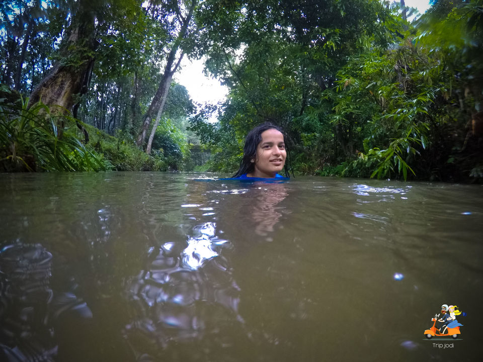 Photo of Kerala, India by Trip Jodi