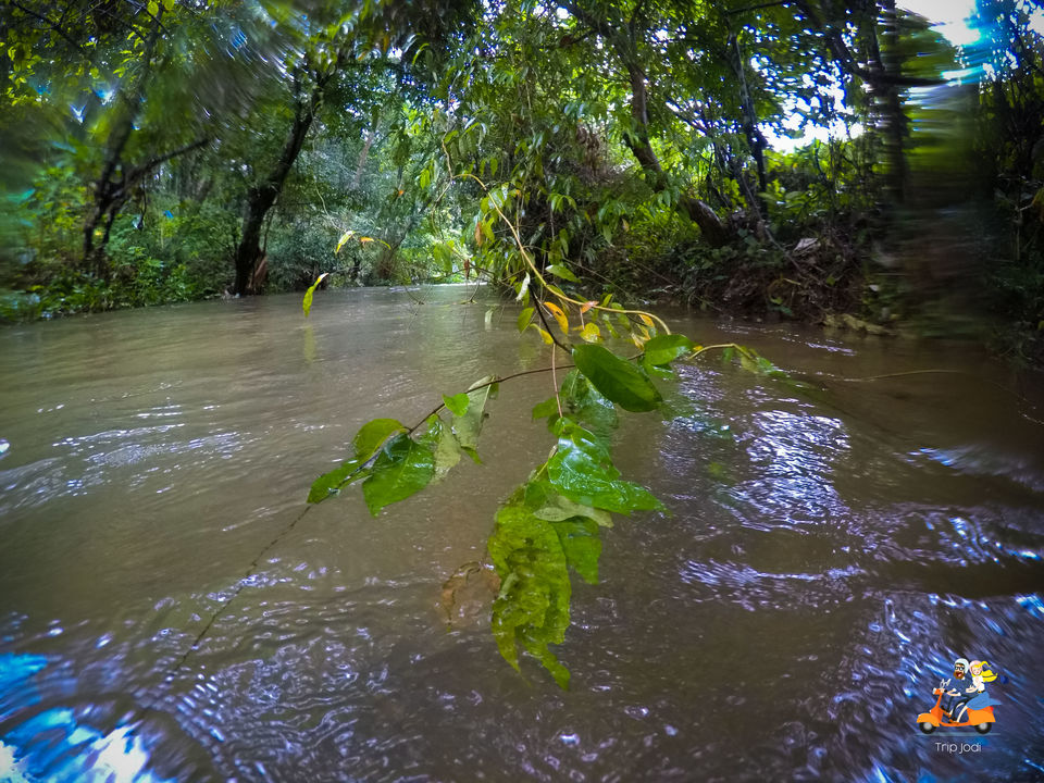 Photo of Kerala, India by Trip Jodi