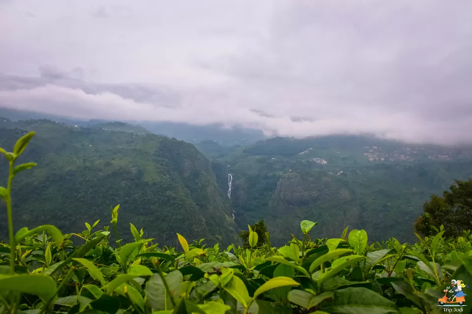 Photo of Dolphin Nose View Point, Dolphin's Nose Road, Alwarpet, Burliyar, Tamil Nadu, India by Trip Jodi