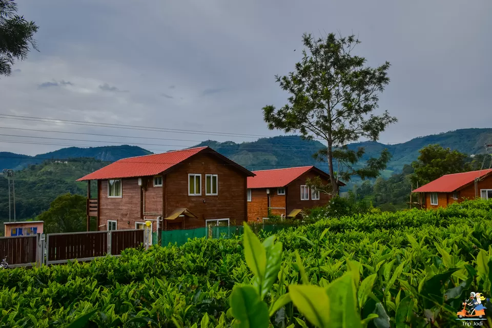 Photo of Catherine Watefall View Point, Dolphins nose Road, Yedappalli, Tamil Nadu, India by Trip Jodi