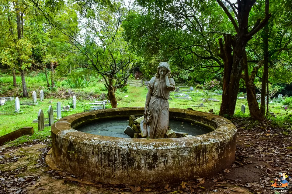 Photo of Tiger Hill Cemetery, Coonoor ! Haunting experience of Tripjodi by Trip Jodi