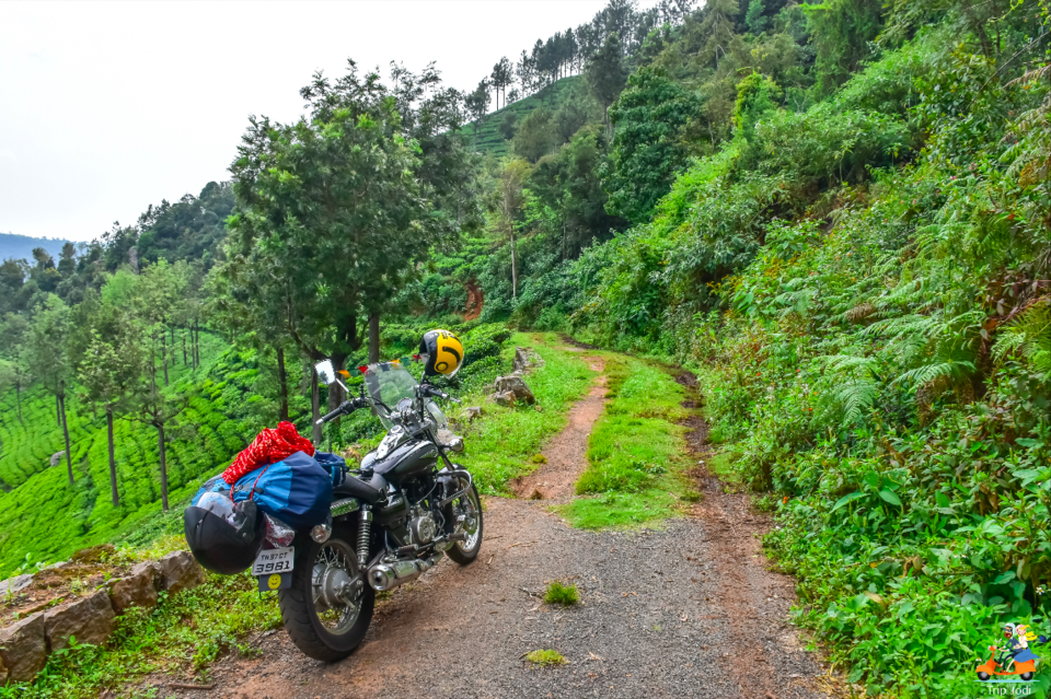 Photo of Coonoor, Tamil Nadu, India by Trip Jodi