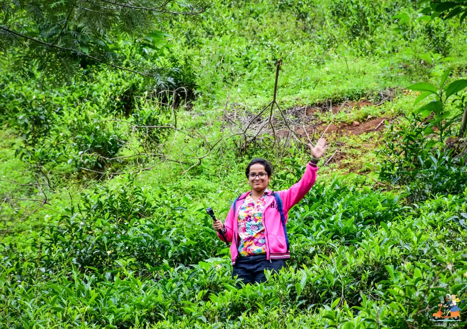 Photo of Kotagiri, Tamil Nadu, India by Trip Jodi