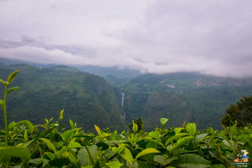 Photo of Coonoor, Tamil Nadu, India by Trip Jodi