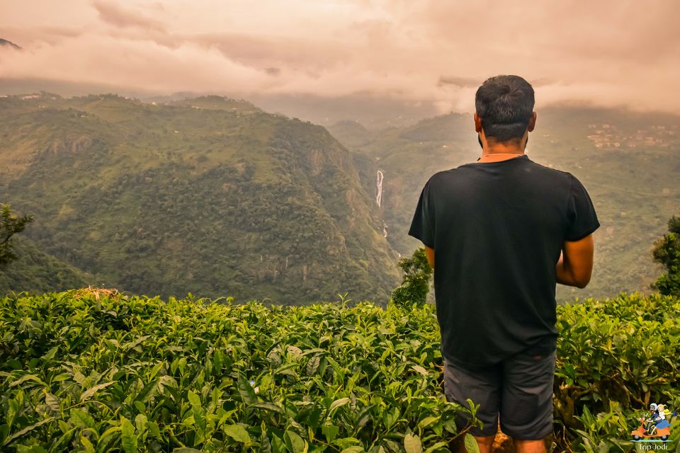 Photo of Nilgiris, Tamil Nadu, India by Trip Jodi