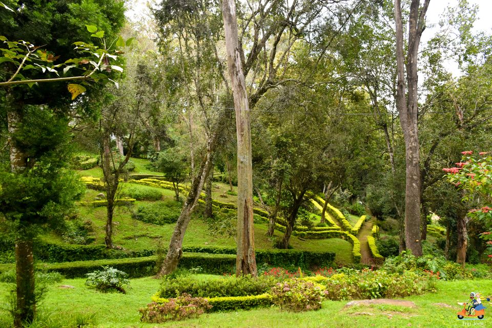 Photo of Coonoor, Tamil Nadu, India by Trip Jodi