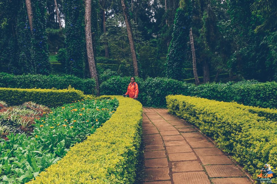 Photo of Sims Park, Coonoor - Get a break to Enjoy Nature. by Trip Jodi