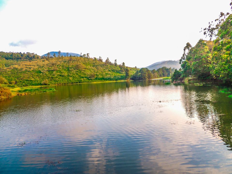 Photo of Curvy Roads that leads to Queen of Hills - Mully - Upper Bhavani - Manjoor - Ooty by Trip Jodi