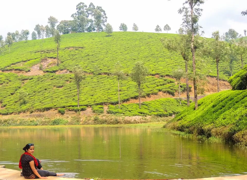 Photo of Valparai, Tamil Nadu, India by Trip Jodi