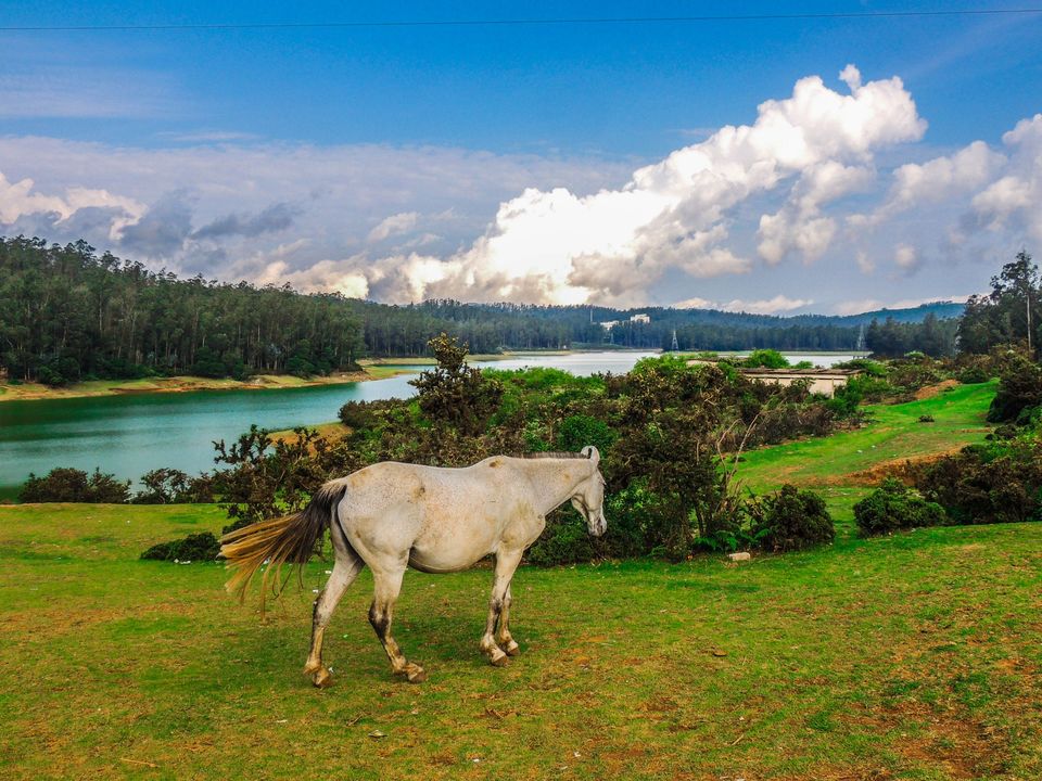 Photo of Nilgiri Mountains, Jagathala, Tamil Nadu, India by Trip Jodi