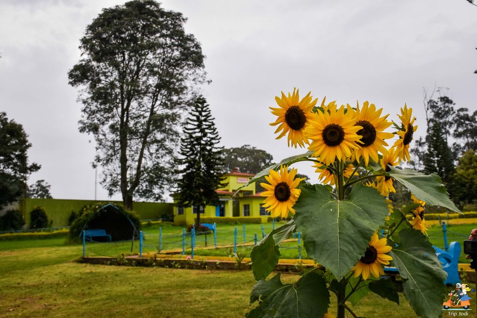 Photo of Lazy evening in Kotagiri, Walk around Nehru Park in the Town by Trip Jodi