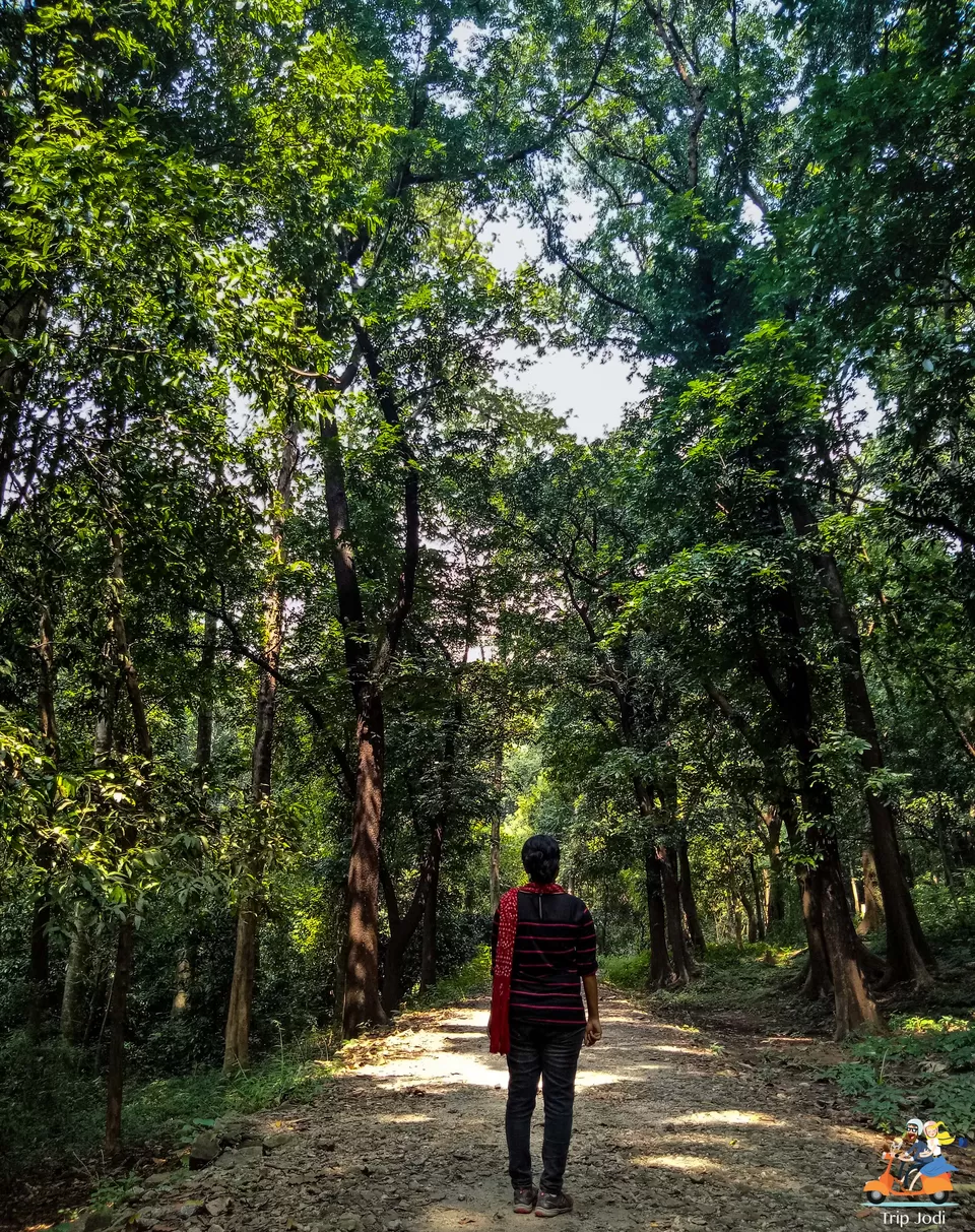 Photo of A Treasure inside the deep jungle, Dhoni falls, Palakkad by Trip Jodi