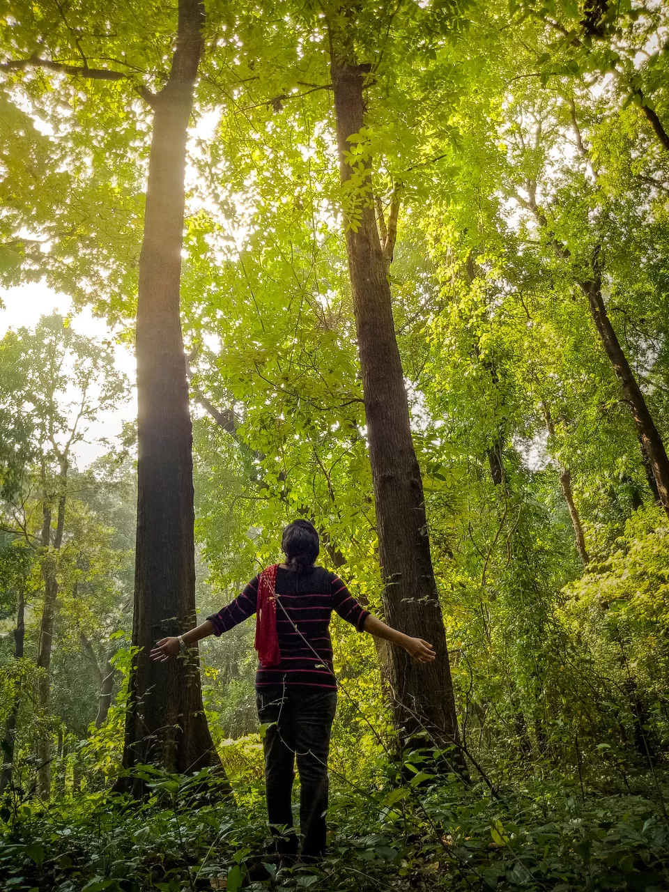 Photo of Kerala, India by Trip Jodi