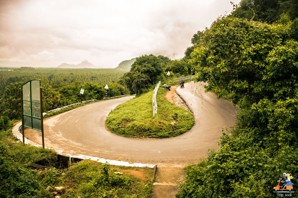 Photo of A ride to From Coimbatore to Vattakanal, A paradise in Kodaikanal by Trip Jodi