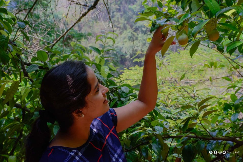 Photo of Road to Kurumba Village Resort, Burliyar, Tamil Nadu, India by Trip Jodi
