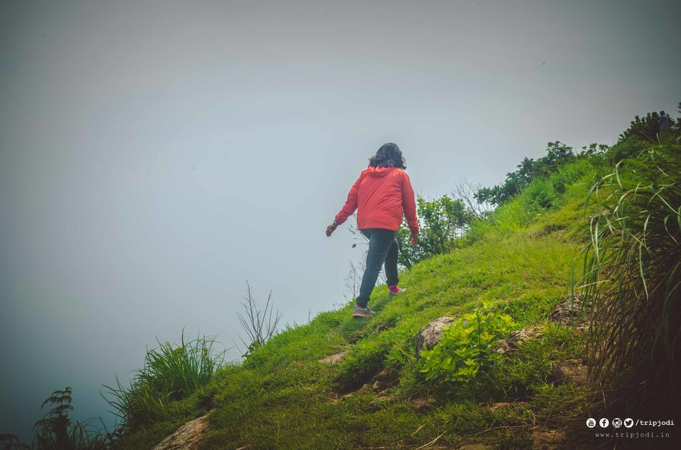 Photo of Nelliyampathy Hills, Palakkad, Kerala – A place to know the forest and nature 1/1 by Trip Jodi