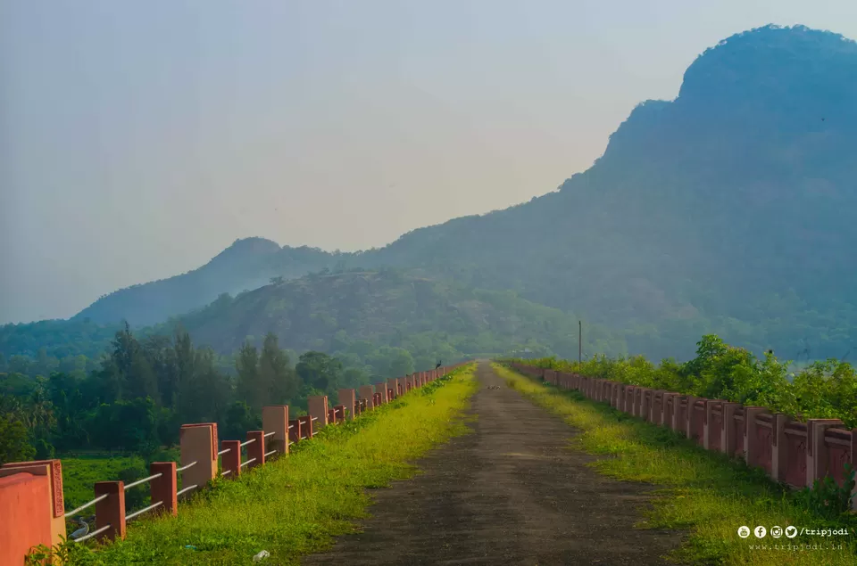 Photo of Pothundi Dam, Kerala by Trip Jodi