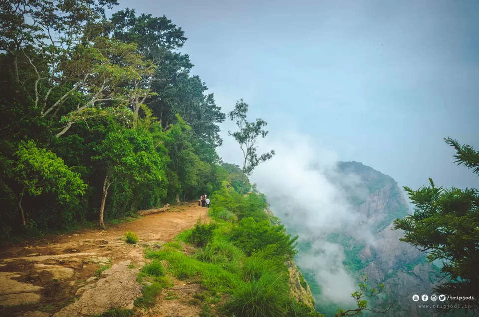 Photo of Nelliyampathy Hills, Palakkad, Kerala – A place to know the forest and nature by Trip Jodi