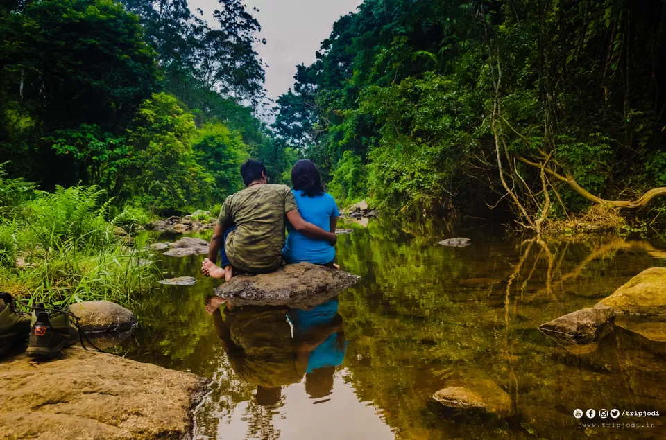 Photo of Nelliyampathy Hills, Palakkad, Kerala – A place to know the forest and nature by Trip Jodi
