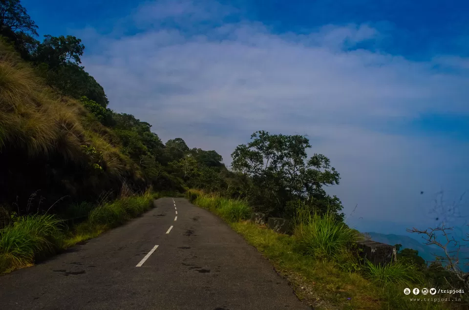 Photo of Nelliyampathy Hills, Palakkad, Kerala – A place to know the forest and nature by Trip Jodi