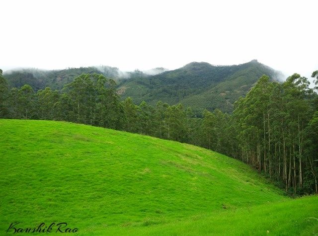 Photo of Munnar – Weekend Getaway 3/11 by Kaushik Rao