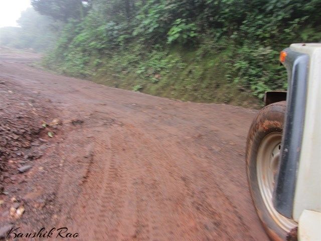 Photo of Kodachadri Trek 4/5 by Kaushik Rao