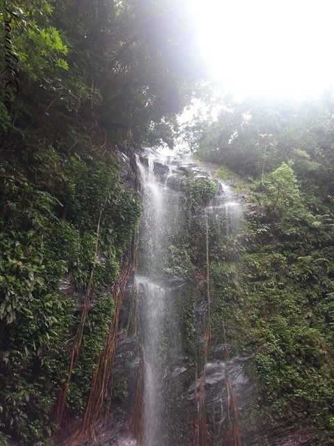 Photo of Kodachadri Trek 2/5 by Kaushik Rao