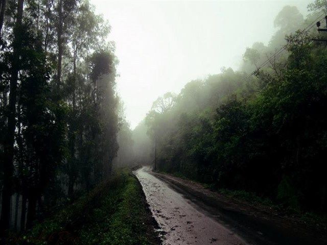Photo of Chikmagalur – Mullayanagiri & Baba Budangiri 1/7 by Kaushik Rao