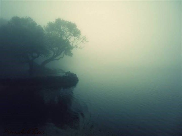 Photo of Chikmagalur – Mullayanagiri & Baba Budangiri 7/7 by Kaushik Rao