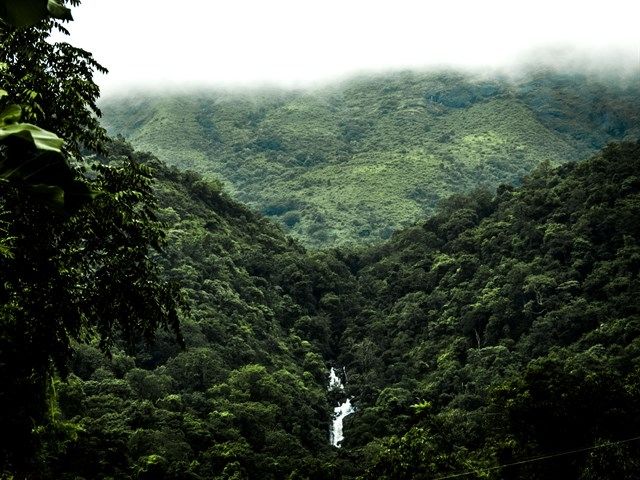 Photo of Coorg – Abby Falls and Iruppu Falls 2/3 by Kaushik Rao